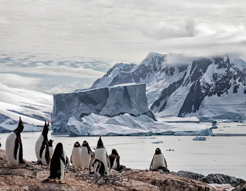 Croisières Antarctique, photo 2