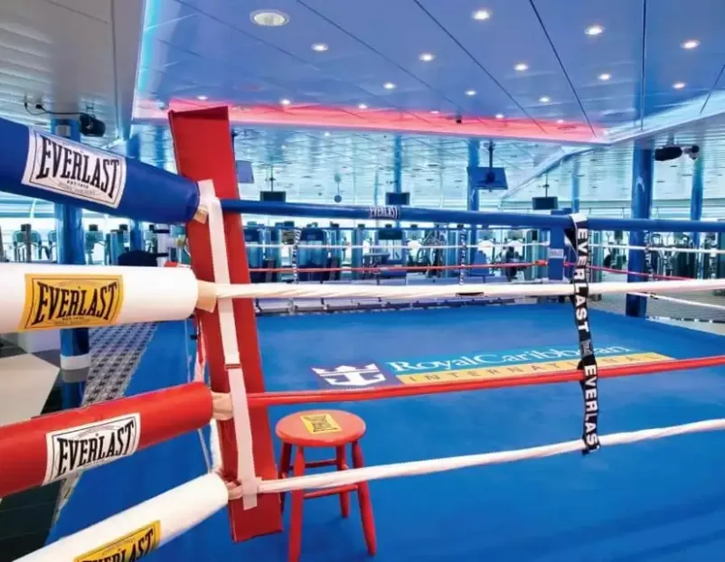 Activités du Freedom of the Seas, photo 2