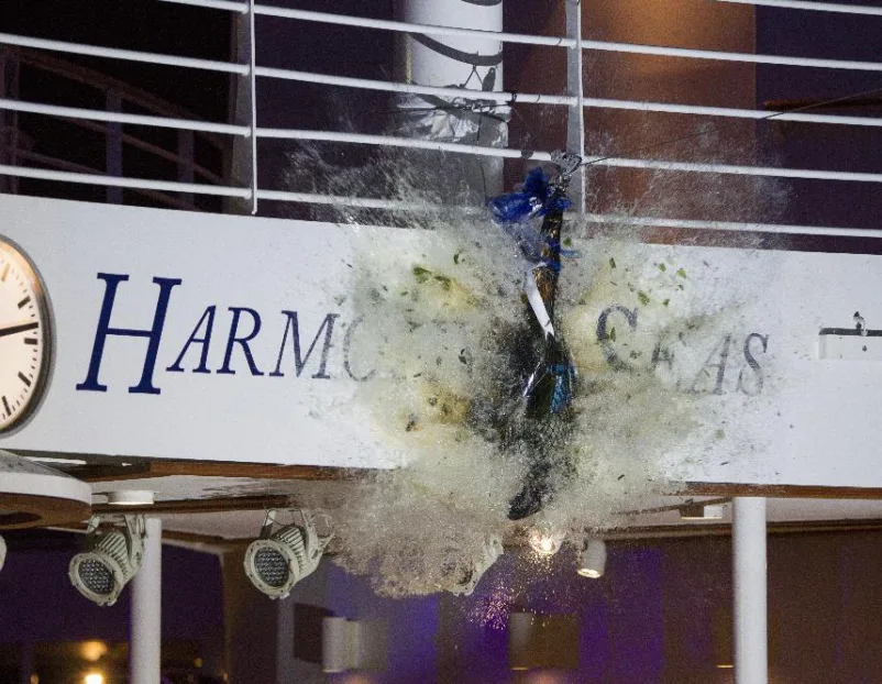 Harmony of the Seas, le navire (2)