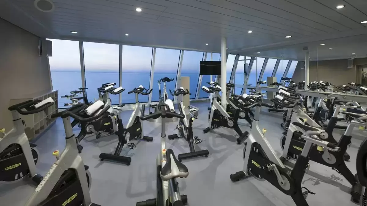Espaces et activités à bord du Anthem of the Seas