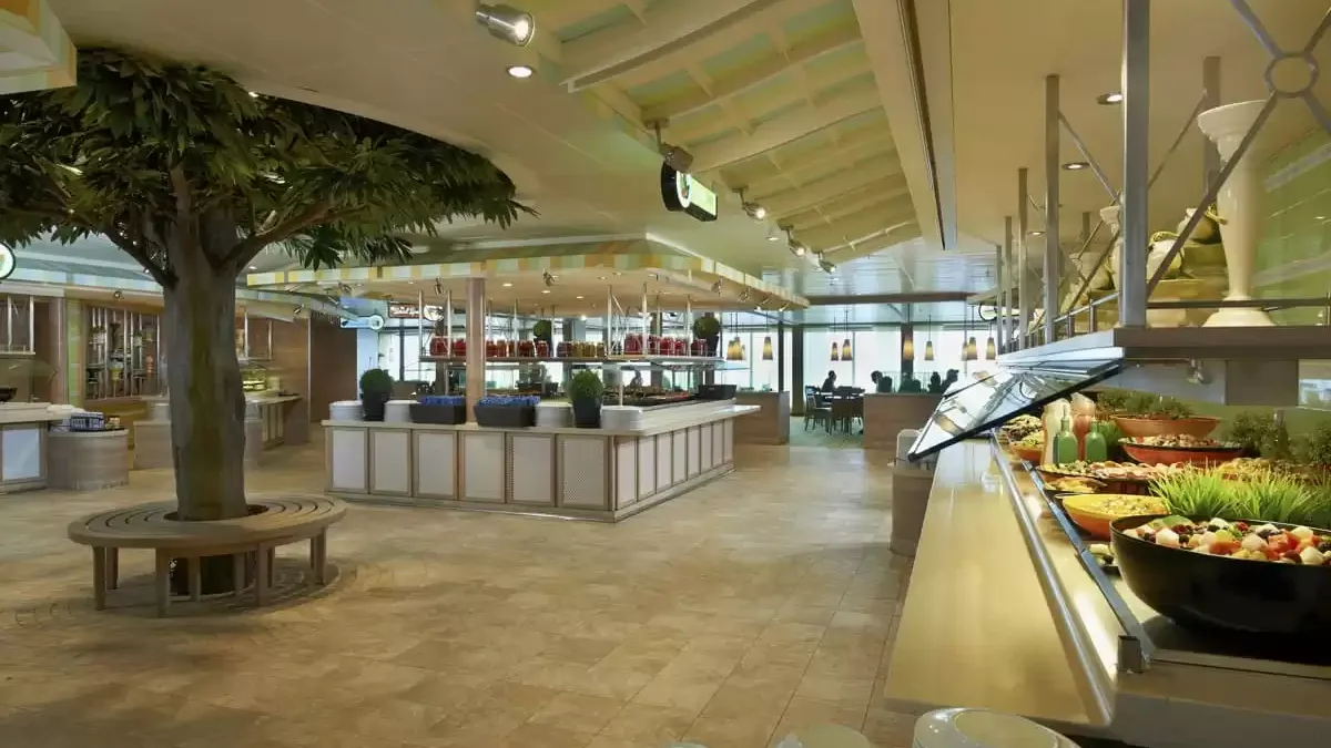 Espaces et activités à bord du Carnival Sunshine
