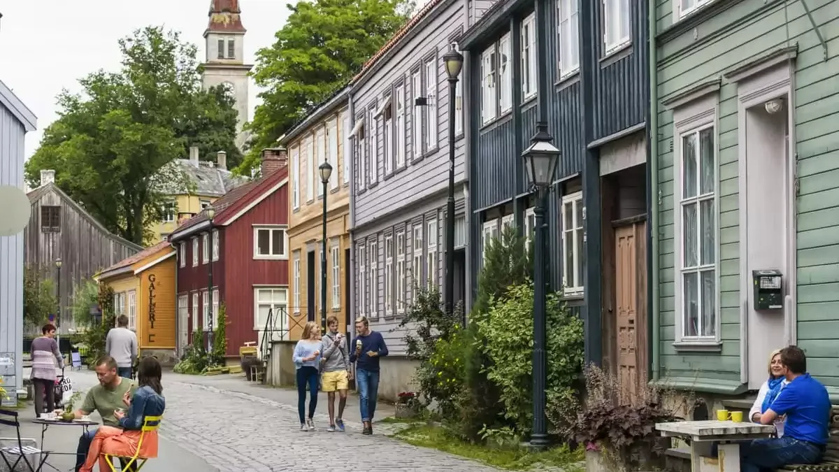 Espaces et activités à bord du MS Nordnorge