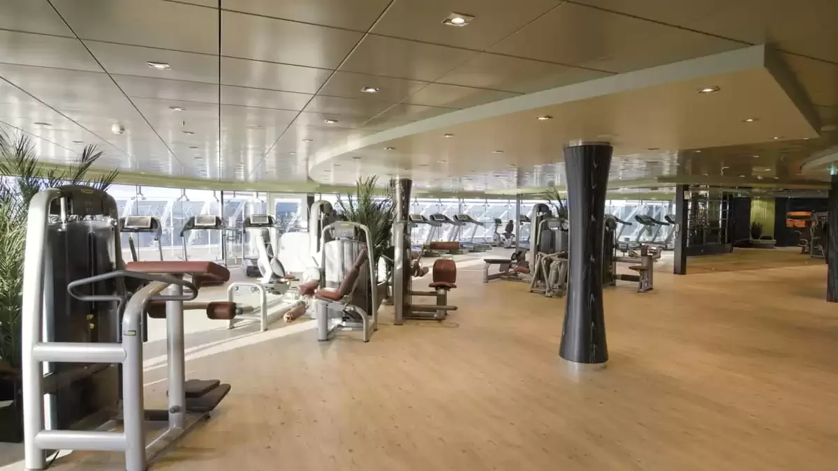 Espaces et activités à bord du MSC Fantasia