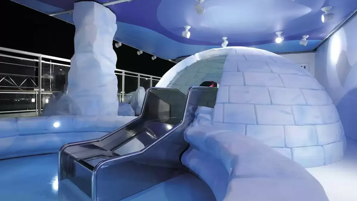 Espaces et activités à bord du MSC Fantasia