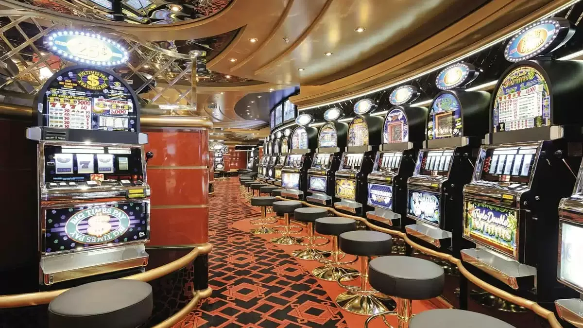 Espaces et activités à bord du MSC Fantasia