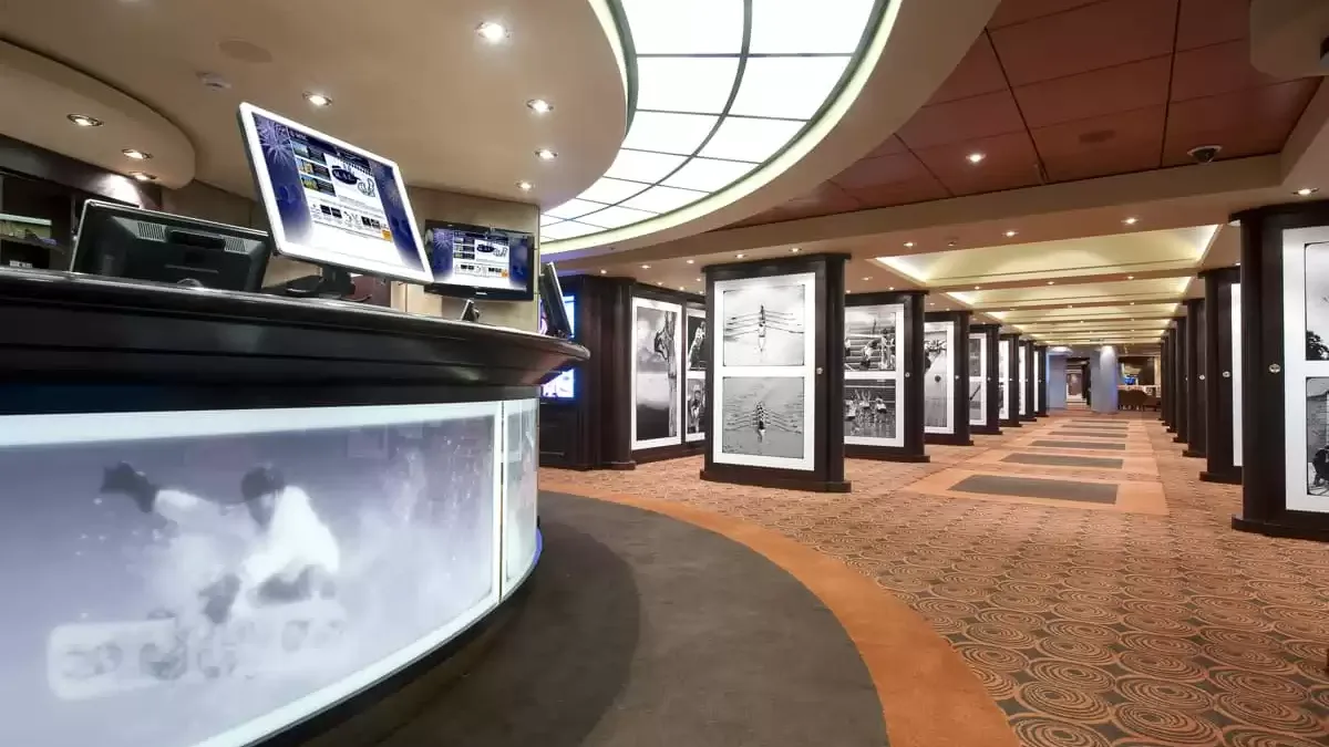 Espaces et activités à bord du MSC Magnifica