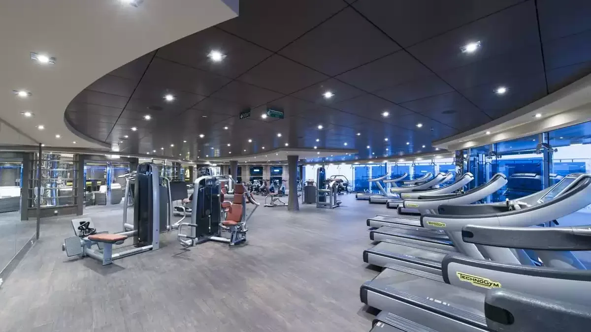 Espaces et activités à bord du MSC Preziosa