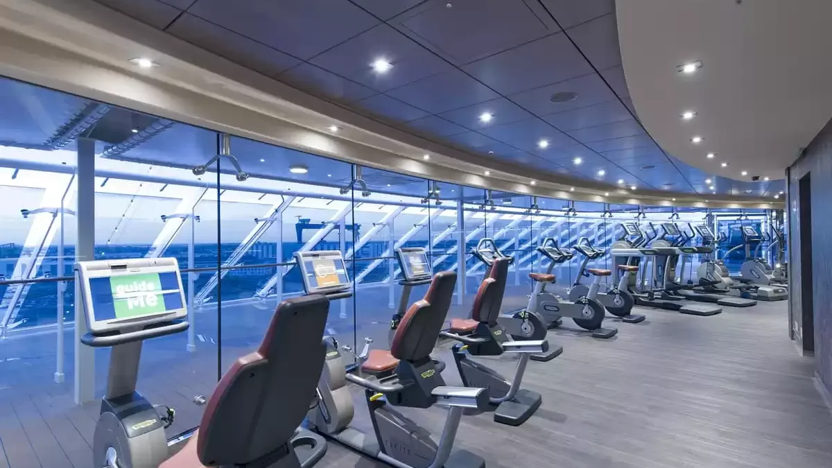 Espaces et activités à bord du MSC Preziosa