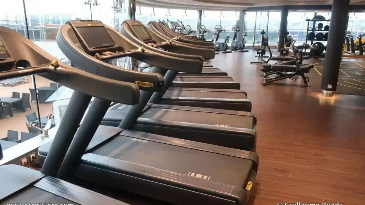 Espaces et activités à bord du MSC Seashore