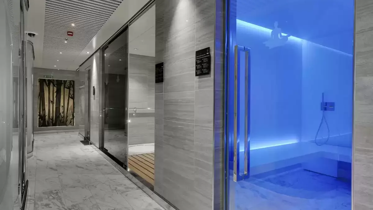 Espaces et activités à bord du MSC Seaview