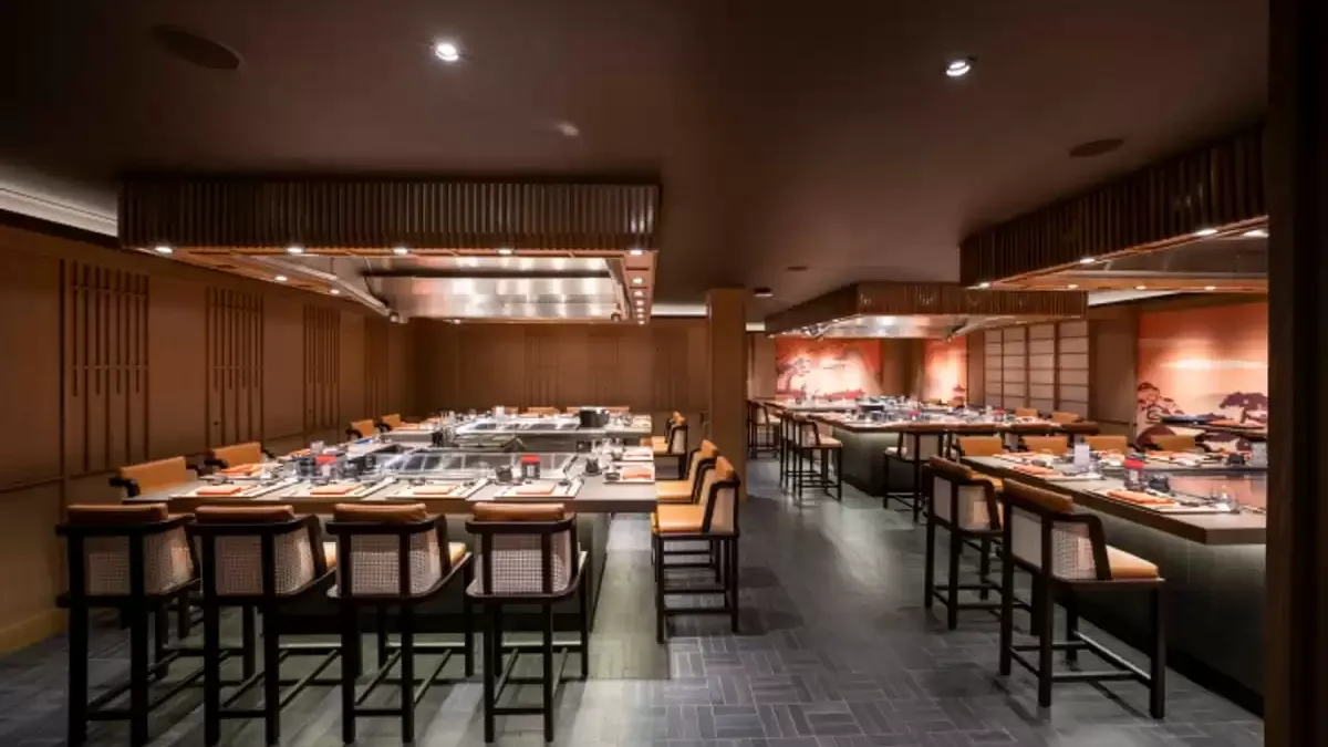 Espaces et activités à bord du MSC World Asia