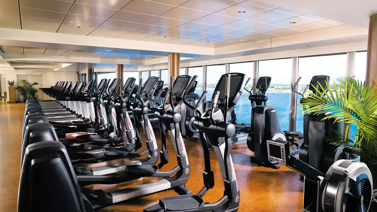 Espaces et activités à bord du Norwegian Epic