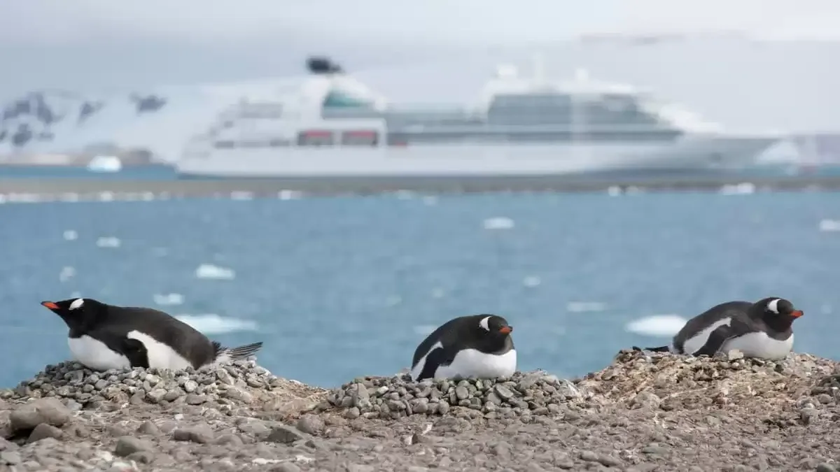 Espaces et activités à bord du Seabourn Quest