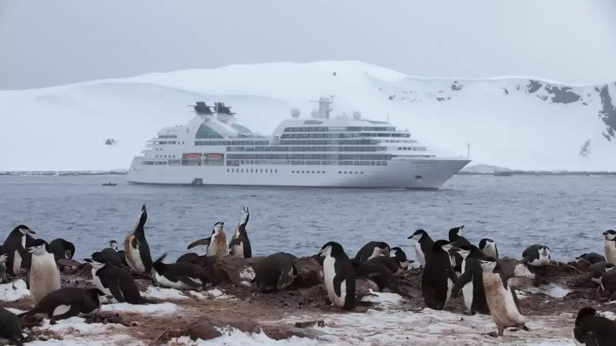 Espaces et activités à bord du Seabourn Quest