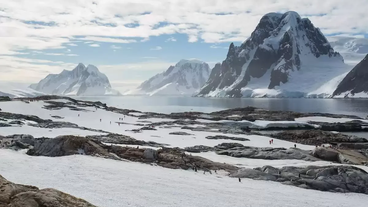 Espaces et activités à bord du Silver cloud Expedition
