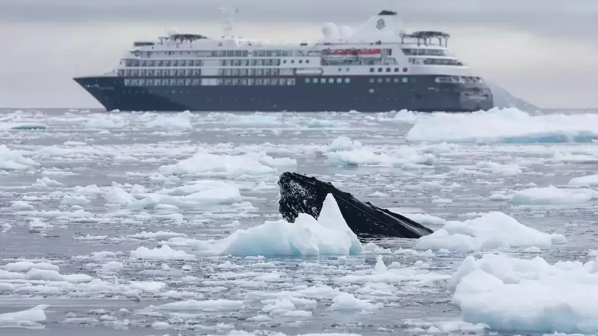 Le Silver cloud Expedition en mer, vu du ciel
