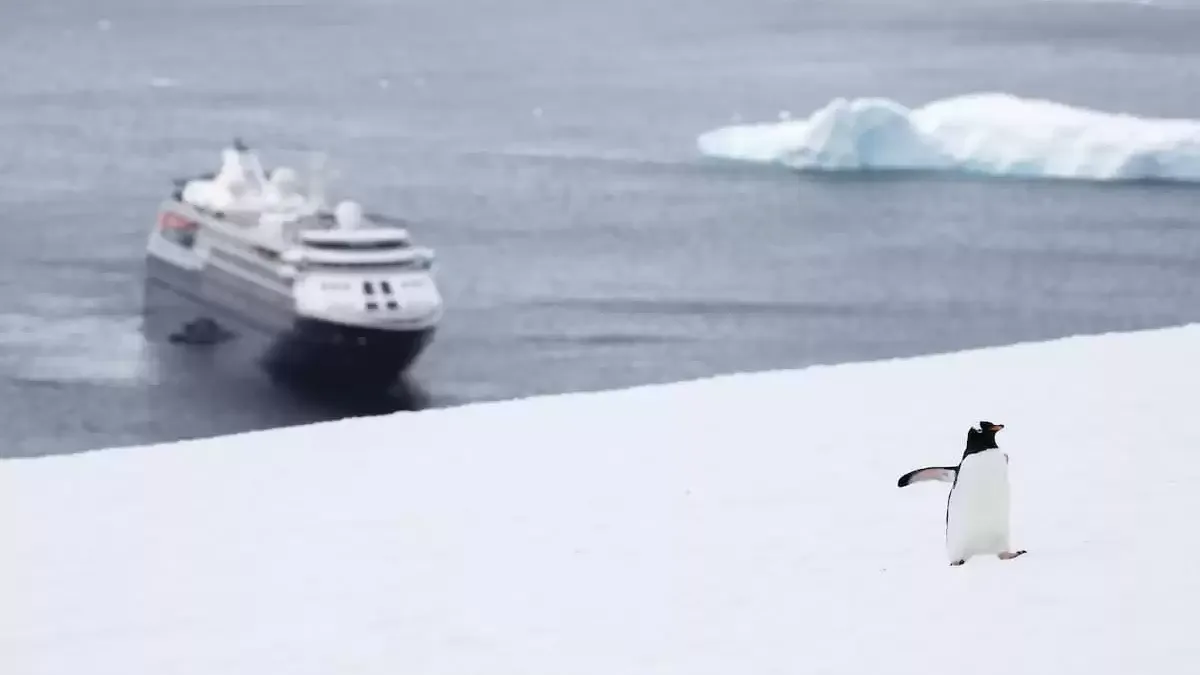 Le Silver cloud Expedition en mer, vu du ciel