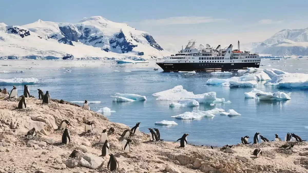 Espaces et activités à bord du Silver cloud Expedition