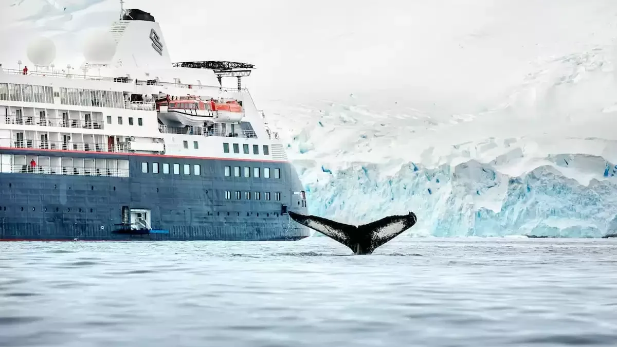 Le Silver cloud Expedition en mer, vu du ciel