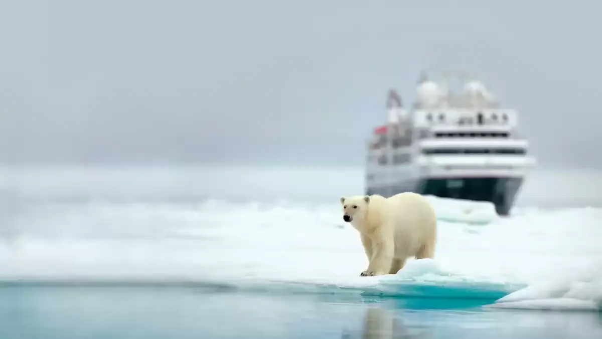 Espaces et activités à bord du Silver cloud Expedition