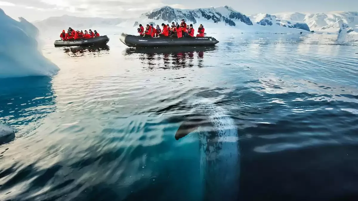 Espaces et activités à bord du Silver cloud Expedition
