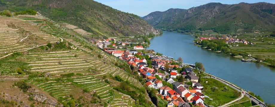 Vignobles en terrasses de la Wachau