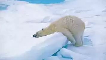 Paysages des croisières en Arctique