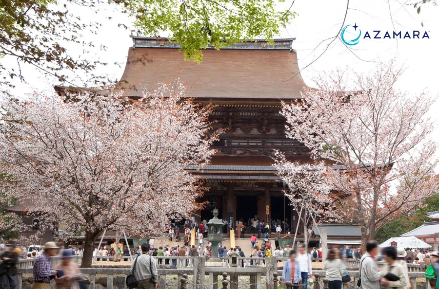 Cerisiers en fleurs au Japon pendant une escale Azamara à Hiroshima, croisière printemps 2027