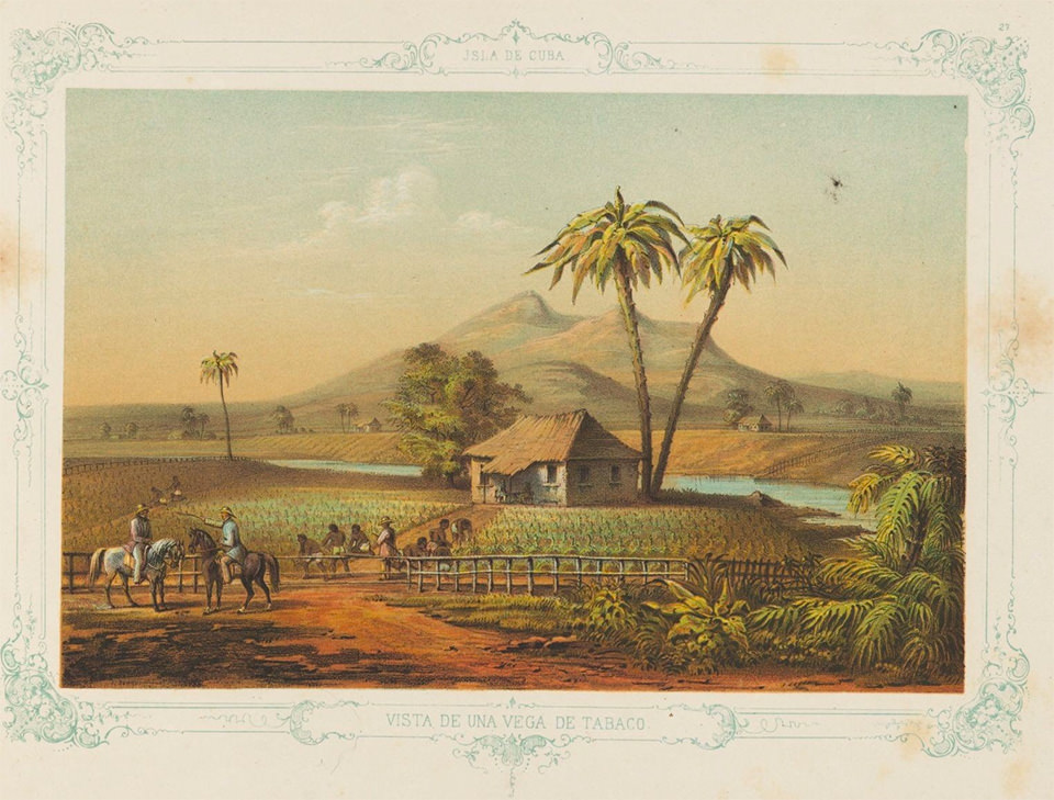 Illustration: Album pintoresco de la isla de Cuba.