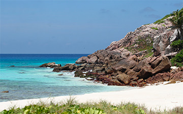 Ile Aride aux Seychelles