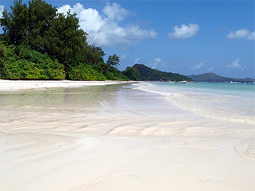 Plage de sable blanc Praslin Seychelles 