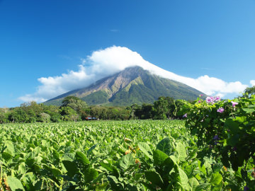 Volcan Nicaragua Concepcion
