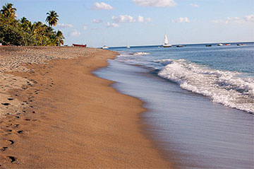 Plage paradisiaque en Martinique
