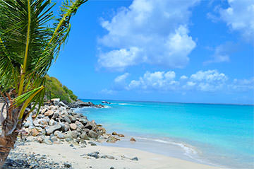 plage Martinique