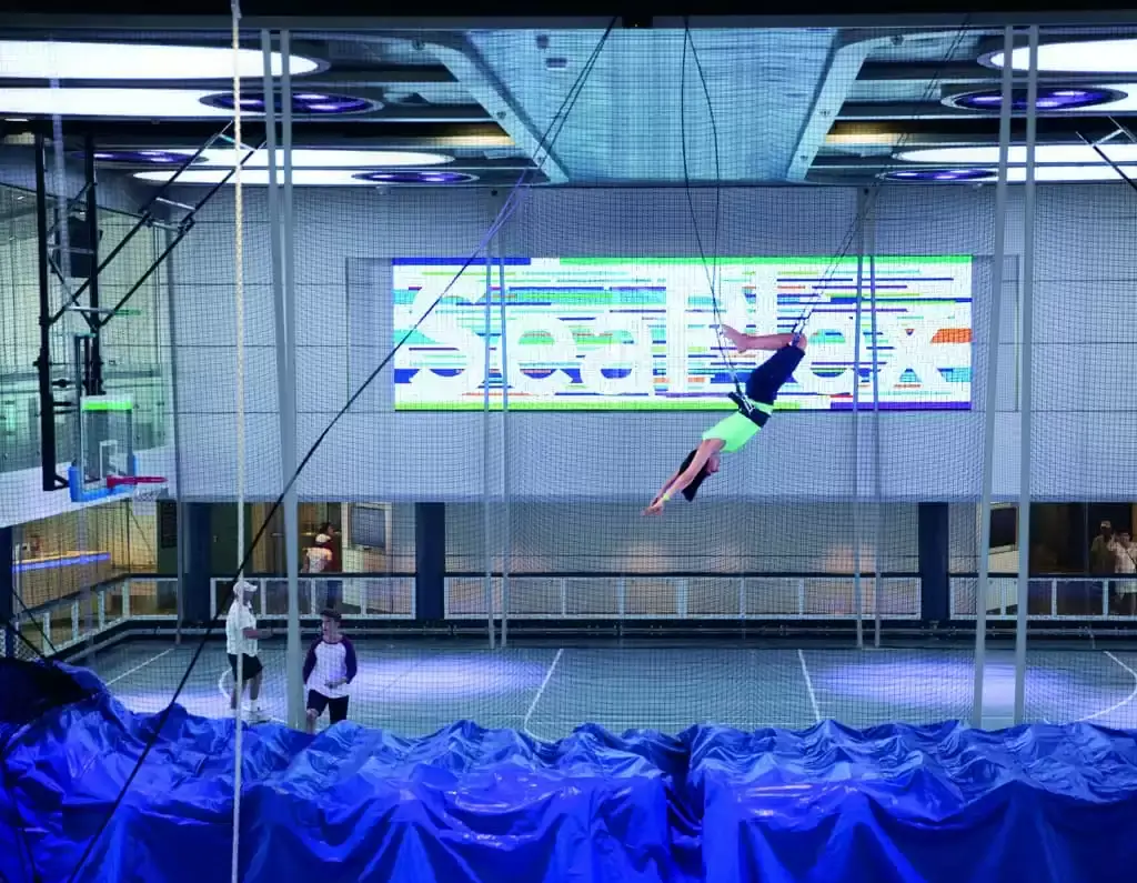 Activité à bord de l'Anthem of the Seas