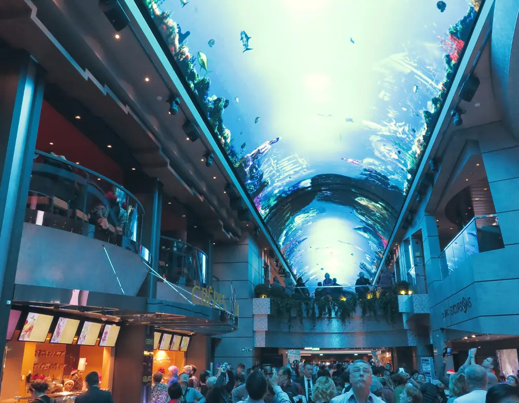 MSC Meraviglia