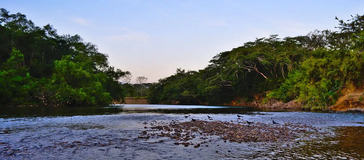 croisière fluviale sur la Rivière Belize