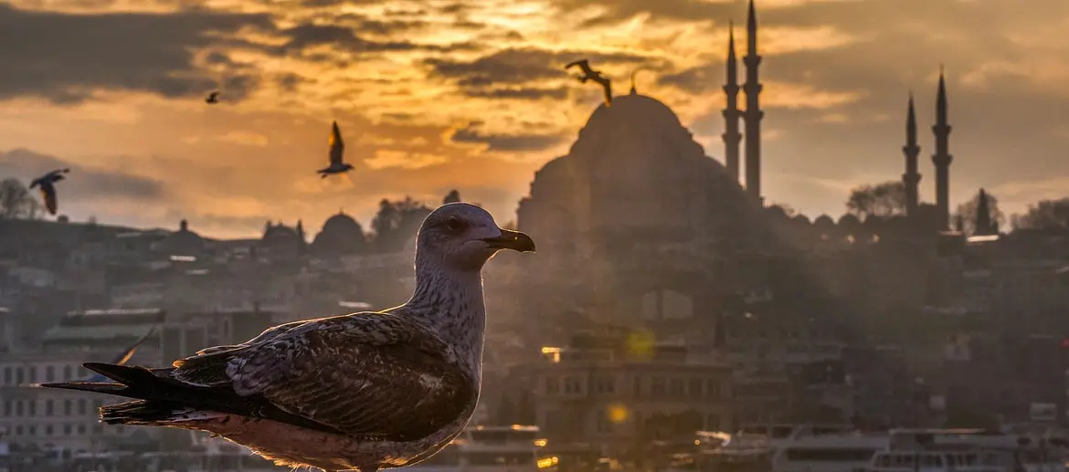 Istanbul, Turquie